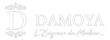 DAMOYA TRAITEUR